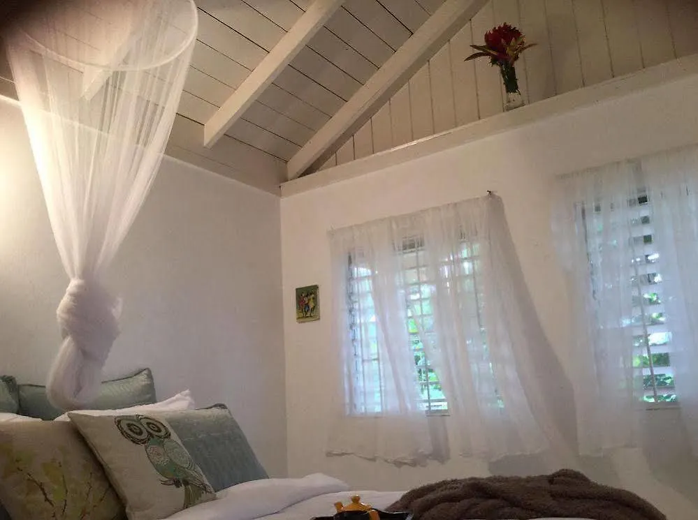 The Sun & Rain Cottage 네그릴 호텔